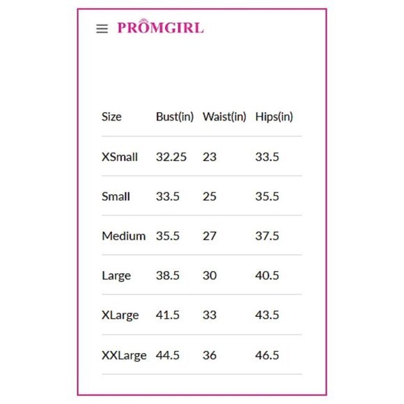 NWT PROMGIRL Illusion Sweetheart Lace Overlay Open Back Gown m25243 Size M - Picture 4 of 7